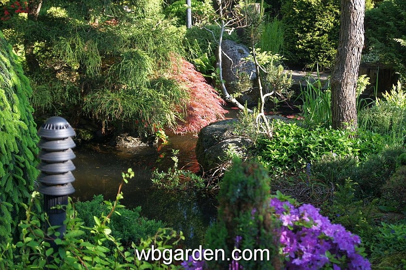 wbgarden spring 4.JPG